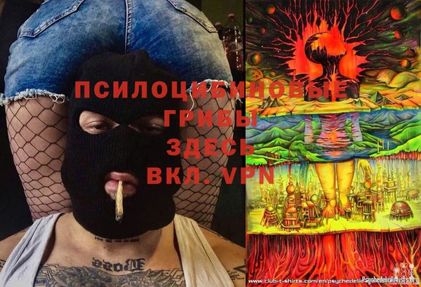 соль курить ск Заводоуковск