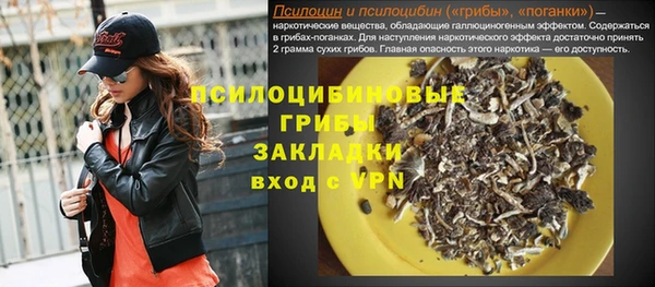 соль курить ск Заводоуковск