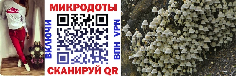 Псилоцибиновые грибы мухоморы  Туймазы 